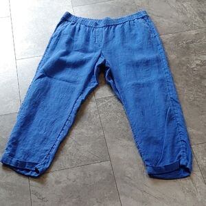 J. Jill Vibrant Blue Straight Leg Pants